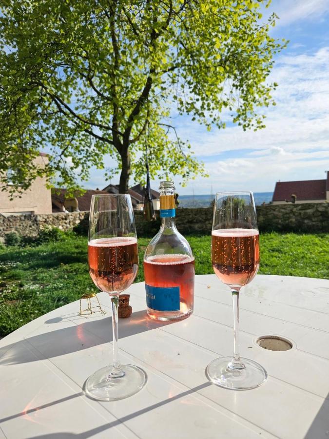 Lodge De La Vigneronne Châtillon-sur-Marne Esterno foto